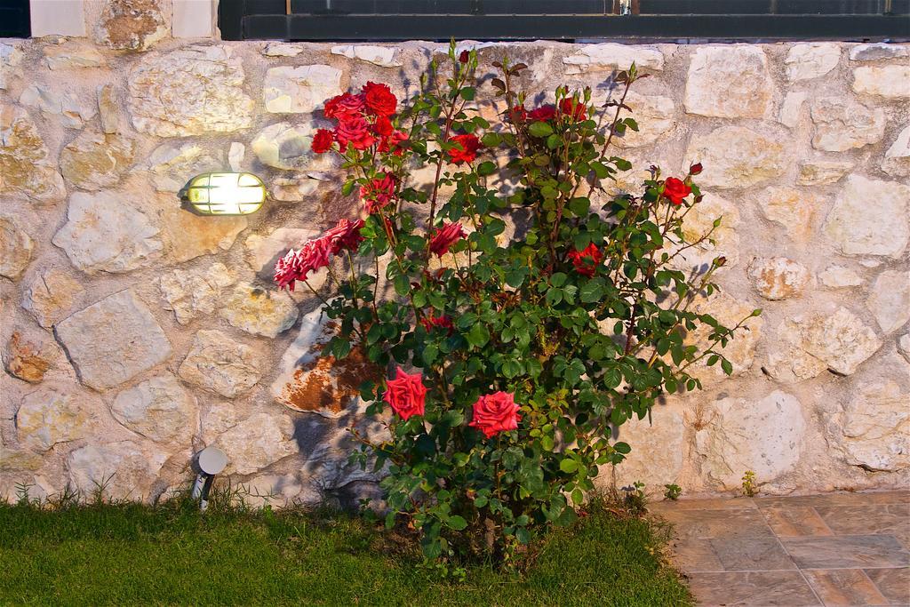 Superb Villa With Private Pool Peaceful Location Sami  Exterior photo
